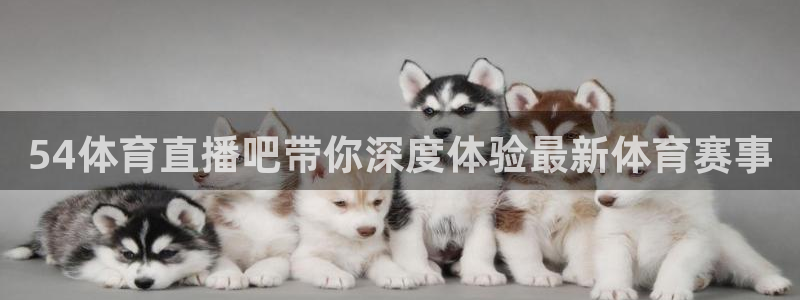 54体育直播吧带你深度体验最新体育赛事